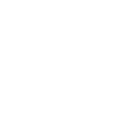 Affordable Fees